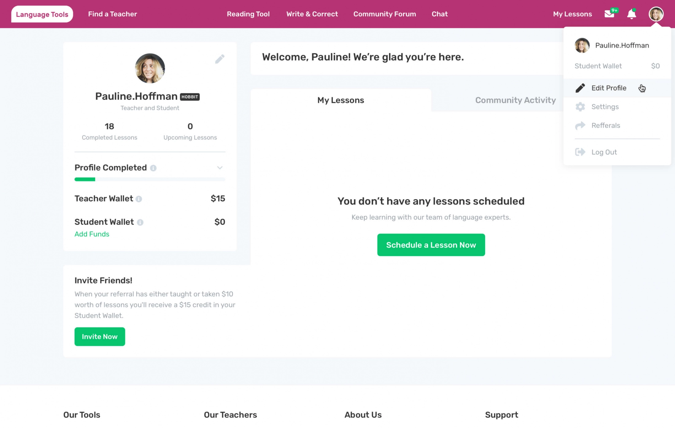 Example of a dashboard from Language Tools.