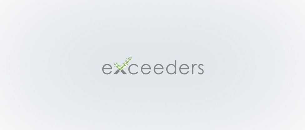 Web application development services Cieden