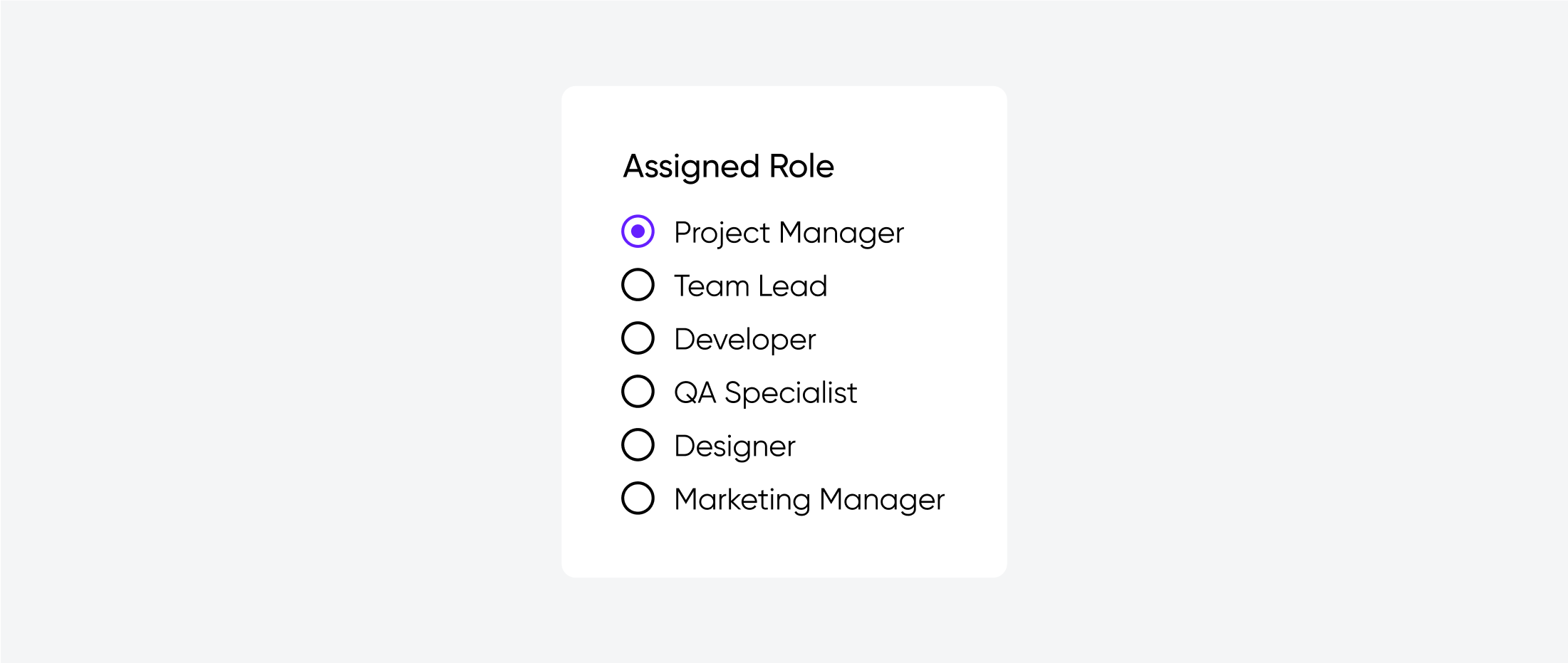 An image "Assigned Role" with radio buttons. "Project Manager" is selected. Team Lead, Developer, Designer and others are unselected.